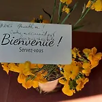 Le Moutardier : Chaleureux T2 Au Coeur De Ville